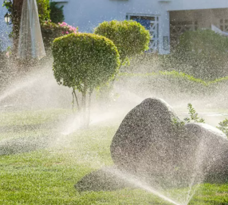 Lawn irrigation Services